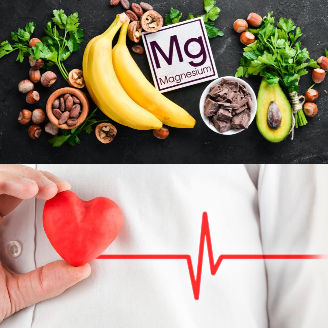 su Excelente docena El papel del magnesio en la salud del corazón
